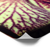 紫のストライプの蘭の花が閉まる ポスター (角)