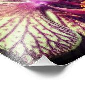 紫のストライプの蘭の花クローズアップ8 x 10 フォトプリント (角)