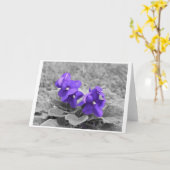 紫のスミレ、カード カード (黄色い花)