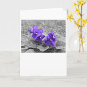 紫のスミレ、カード カード (黄色い花)