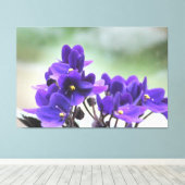 紫のスミレ キャンバスプリント (インサイチュ (ウッドフロア))