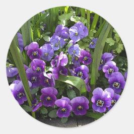 紫のスミレ ラウンドシール