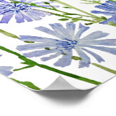 紫のチコリの水彩色 ポスター (角)