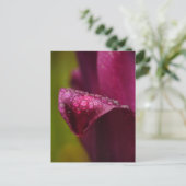 紫のチューリップポストカード ポストカード (スタンド正面)