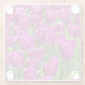 紫のチューリップ畑 ガラスコースター (裏面)