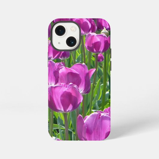 紫のチューリップ iPhoneケース (裏面)