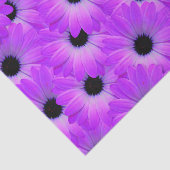 紫のデイジーの花フローラかわいい夏 薄葉紙 (詳細)