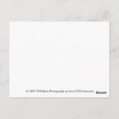 紫のデイジーはがきギフト ポストカード (裏面)