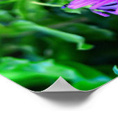 紫のデイジーインザサマーガーデン ポスター (角)