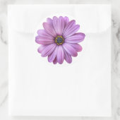 紫のデイジーオンホワイトステッカー ラウンドシール (バッグ)