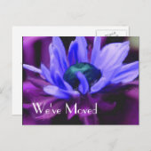 紫のデイジーフラワーニューアドレス 案内ポストカード (正面/裏面)