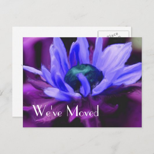 紫のデイジーフラワーニューアドレス 案内ポストカード (正面/裏面)