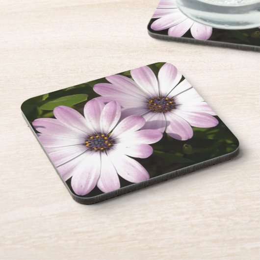 紫のデイジー コースター (左側)