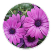 紫のデイジー セラミックノブ (正面)