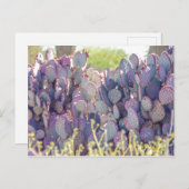 紫のトチノキ |はがき ポストカード (正面/裏面)