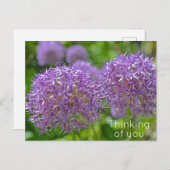 紫のネギ考えるの花の ポストカード (正面/裏面)