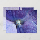 紫のハイドランジア イベントと結婚発表 案内ポストカード (正面/裏面)