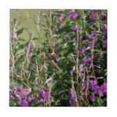 紫のハチドリ タイル (正面)