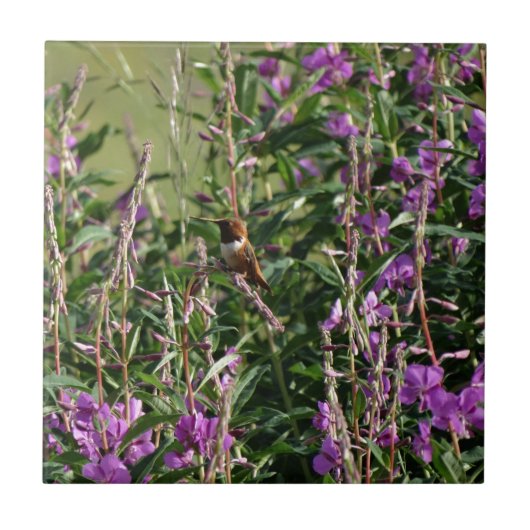 紫のハチドリ タイル (正面)