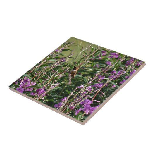 紫のハチドリ タイル (側面)