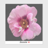 紫のバラとピンクのハート – 油絵 シール (シート)