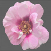 紫のバラとピンクのハート – 油絵 シール (正面)