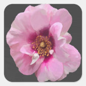 紫のバラとピンクのハート – 油絵 スクエアシール (正面)