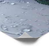 紫のバラと水滴 ポスター (角)