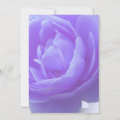 紫のバラの花 (裏面)