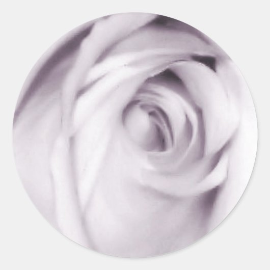 紫のバラシール ラウンドシール (正面)