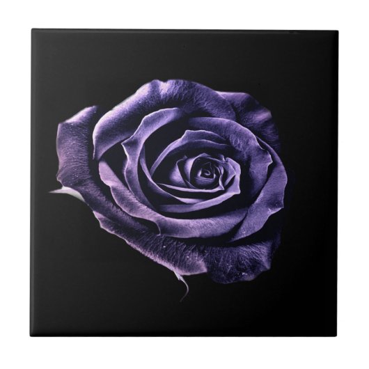 紫のバラタイル タイル (正面)