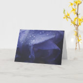 紫のバラ花 カード (黄色い花)