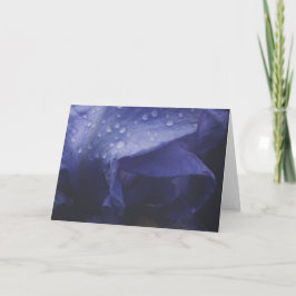 紫のバラ花 カード