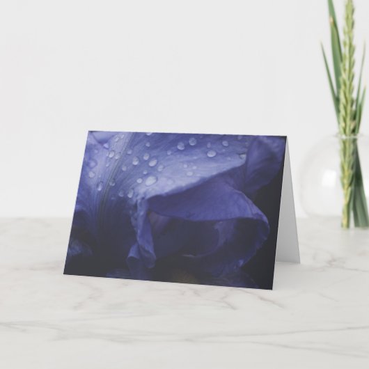 紫のバラ花 カード (正面)