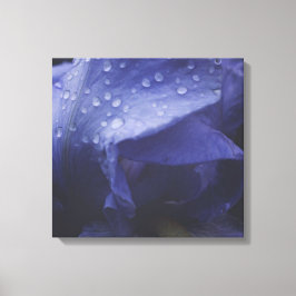 紫のバラ花 キャンバスプリント