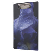 紫のバラ花 クリップボード (左)