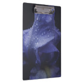 紫のバラ花 クリップボード (右)