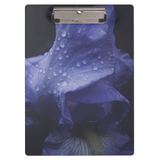 紫のバラ花 クリップボード (正面)