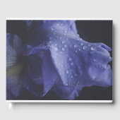 紫のバラ花 ゲストブック (正面)