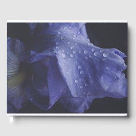 紫のバラ花 ゲストブック