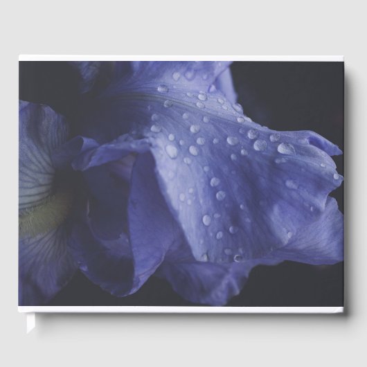 紫のバラ花 ゲストブック (正面)