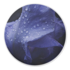 紫のバラ花 セラミックノブ