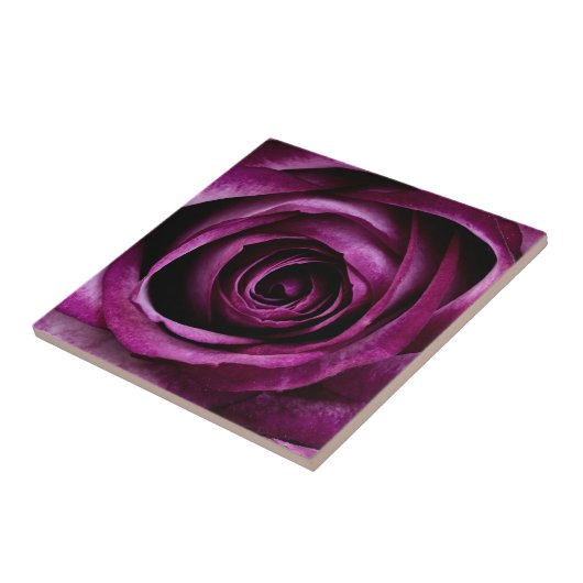 紫のバラ花 タイル (側面)