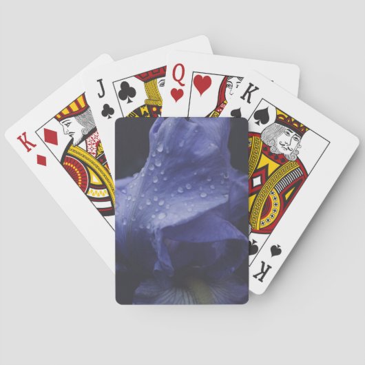 紫のバラ花 トランプ (裏面)