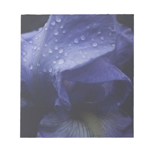 紫のバラ花 ノートパッド (正面)