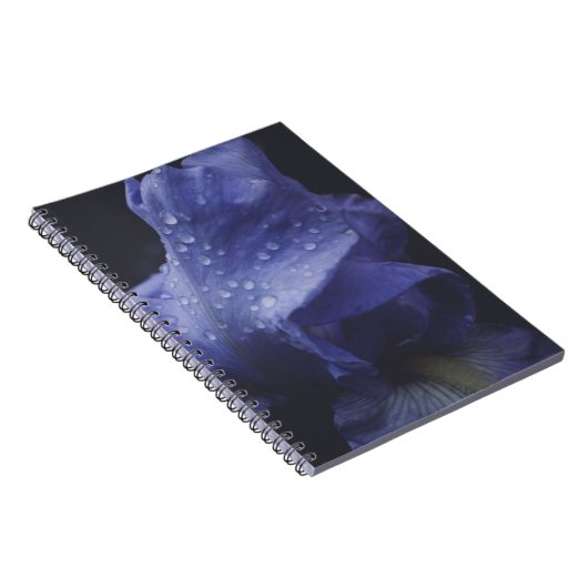 紫のバラ花 ノートブック (右側)