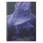紫のバラ花 ノートブック (正面)