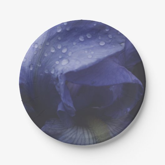 紫のバラ花 ペーパープレート (正面)