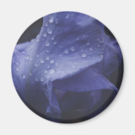 紫のバラ花 マグネット