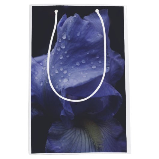 紫のバラ花 ミディアムペーパーバッグ (正面)